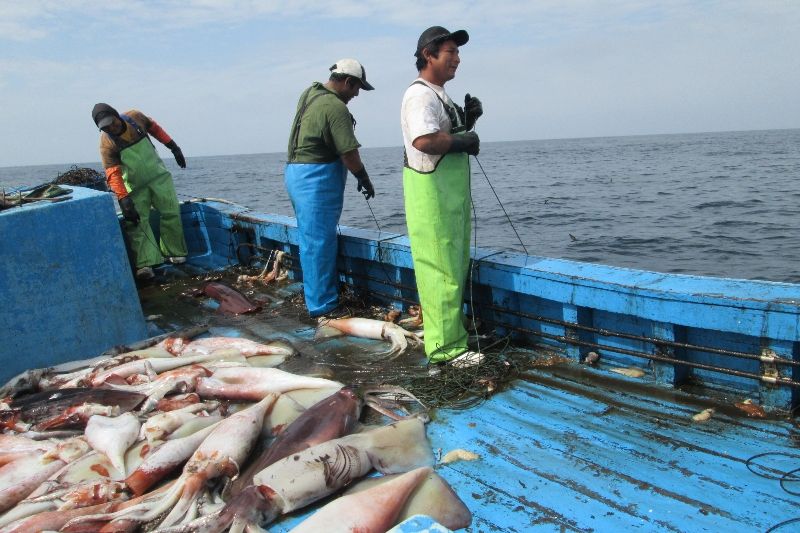 Investigación o desvío: La necesidad de controlar los fondos de Derechos de Pesca en Perú